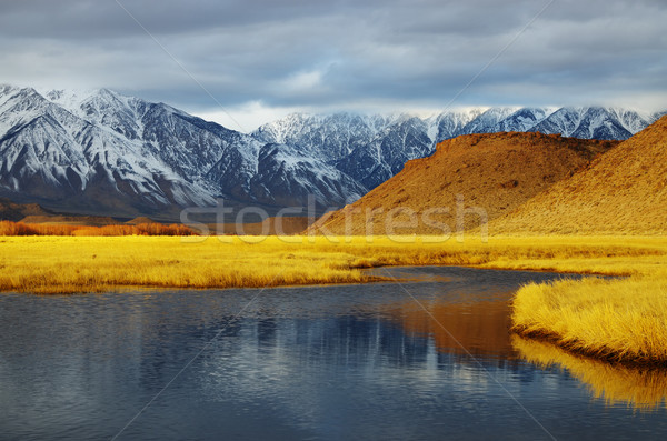 winter valley landscape Stock photo © pancaketom