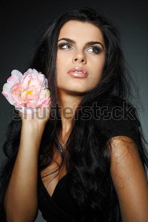 Fotó gyönyörű lány stílus pinup lány portré Stock fotó © pandorabox