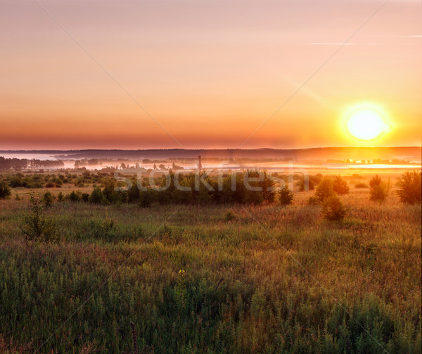 Sunrise in the field with fog.  Stock photo © papa1266