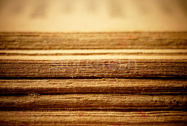 Opened Old Bible Pages, Macro. Stock photo © pashabo