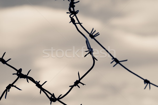 Barbed wire against moody sky. Toned shot, closeup. Stock photo © pashabo