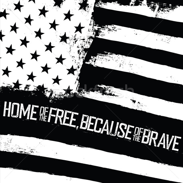 Home libero coraggiosi bandiera americana ondulato effetto Foto d'archivio © pashabo