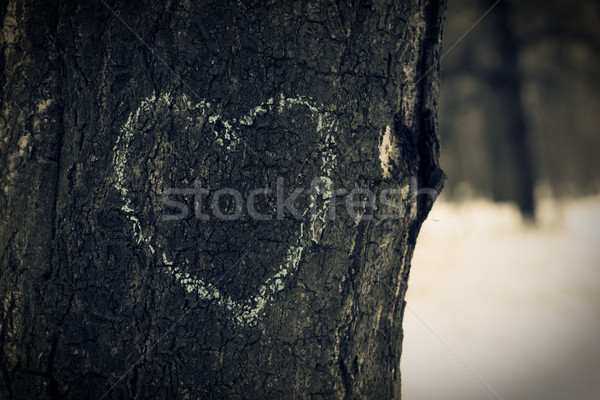 Coeur symbole chêne arbre forêt nature [[stock_photo]] © pashabo