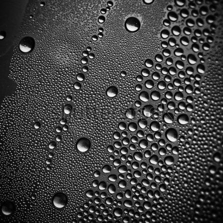 Vízcseppek fekete absztrakt textúra fény háttér Stock fotó © pashabo