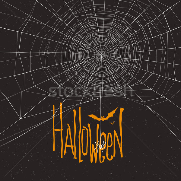 Halloween themed background with spider web and text Stock photo © pashabo