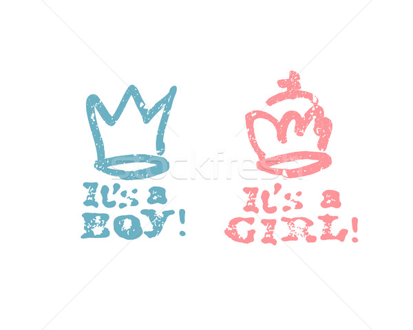 It's a boy lettering, it's a girl lettering. Baby shower party d Stock photo © pashabo