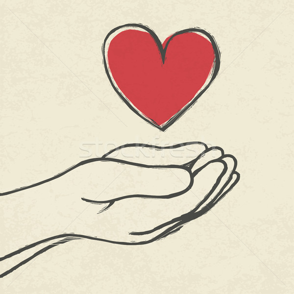 Heart in hands.  Stock photo © pashabo