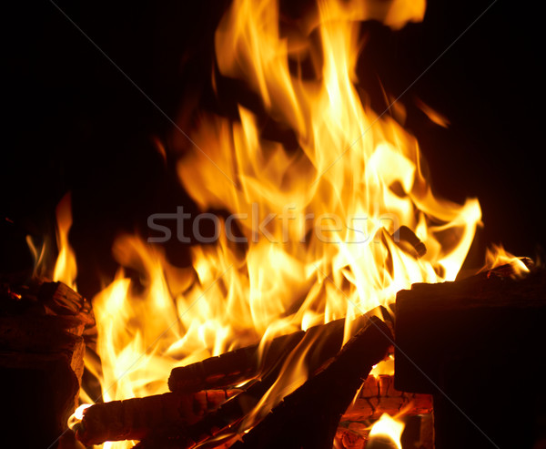 Closeup of burning fire wood Stock photo © pashabo