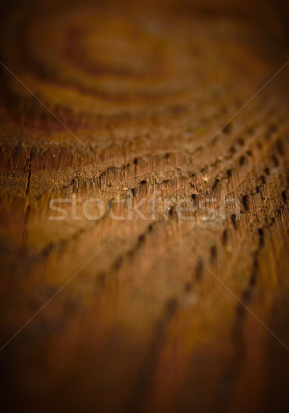 Dark vintage wood texture, shallow DOF. Stock photo © pashabo