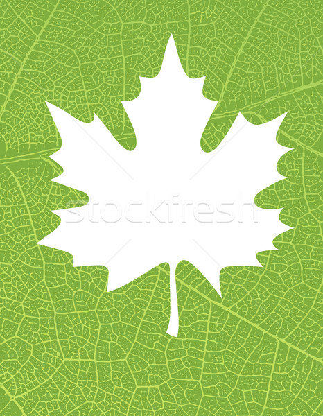 Charakter wolna przestrzeni tekst obraz zielony liść Zdjęcia stock © pashabo
