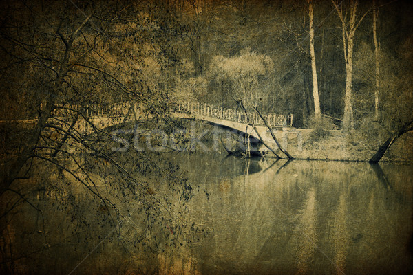Old bridge in park, vintage toned. Stock photo © pashabo