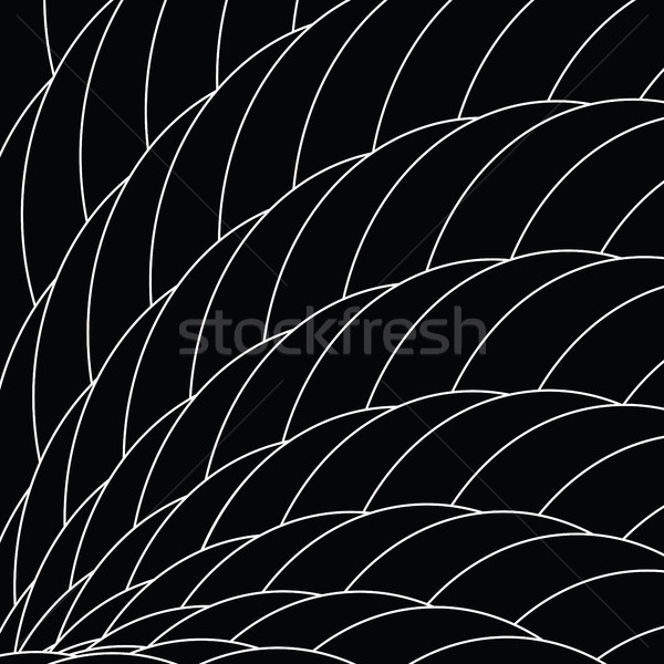 Black and white dragon scales. Abstract geometric background tex Stock photo © pashabo