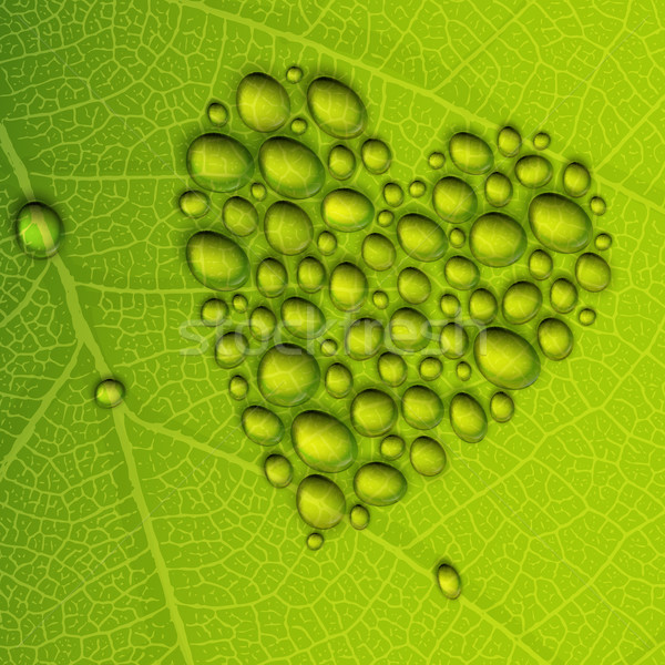 Heart shape dew drops on green leaf. Vector illustration, EPS10 Stock photo © pashabo