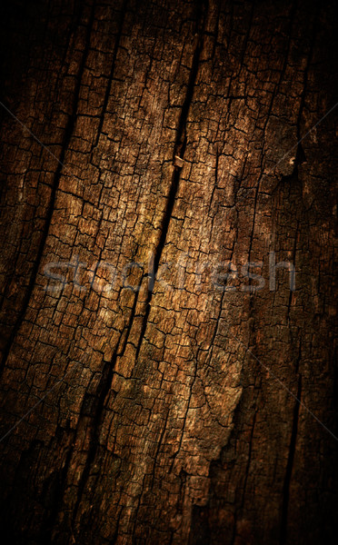 Oud hout gebarsten textuur hout abstract natuur Stockfoto © pashabo