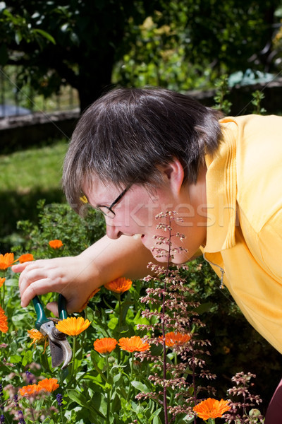 disabled woman cuts flowers in the garden Stock photo © Pasiphae