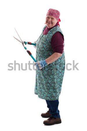 Happy elderly woman holding an electric garden saw 2 Stock photo © Pasiphae