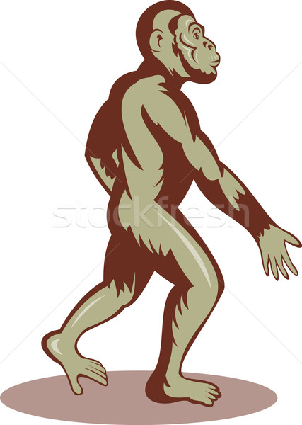 Prehistoric man walking upright Stock photo © patrimonio