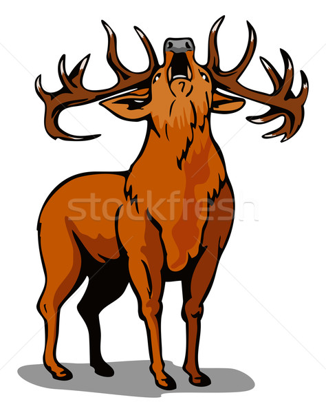 Deer Roaring Stock photo © patrimonio