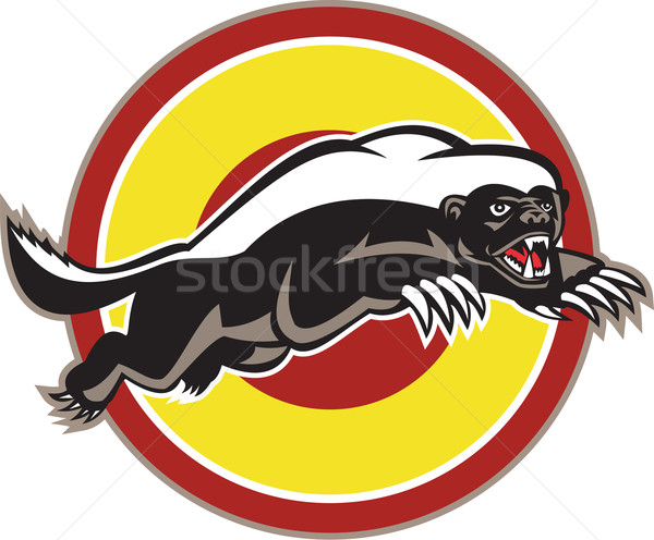 Honey Badger Mascot Leaping Circle Stock photo © patrimonio