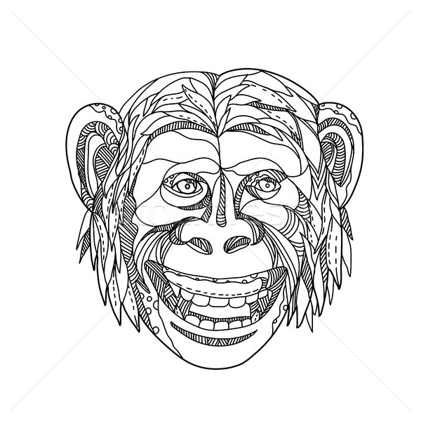 Humanzee Smiling Doodle Stock photo © patrimonio