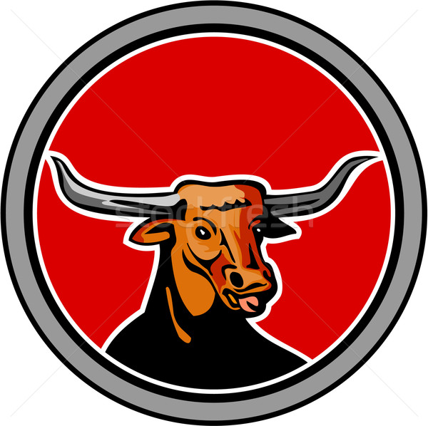 Texas Longhorn Red Bull Circle Retro Stock photo © patrimonio