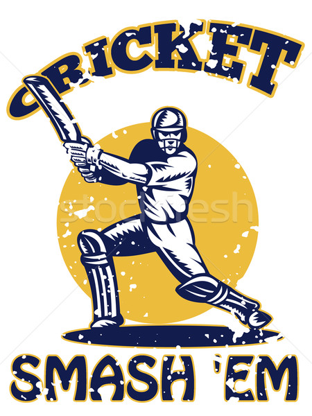 Stock photo: cricket player batsman batting retro 