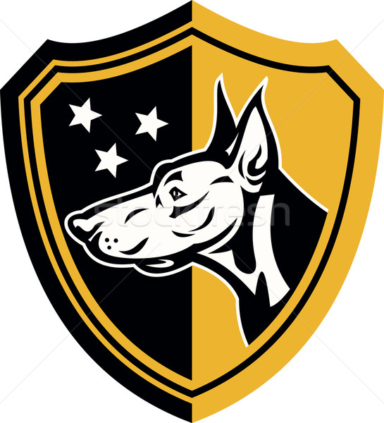 Doberman Guard Dog Stars Shield Stock photo © patrimonio