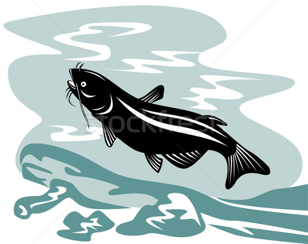 Catfish Jumping Stock photo © patrimonio