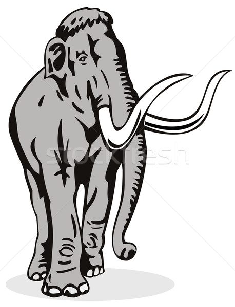 Mammoth Elephant Stock photo © patrimonio