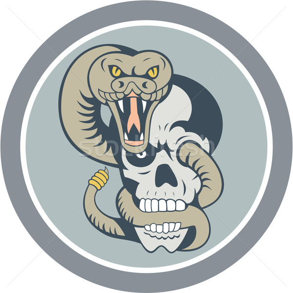 Rattle Snake Curling Around Skull Cartoon Stock photo © patrimonio