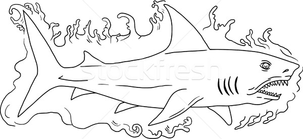 Shark Water Side Drawing Stock photo © patrimonio