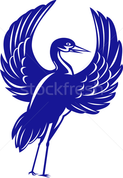 Crane flapping wings Stock photo © patrimonio