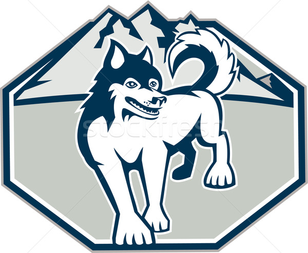 Siberian Husky Dog Mountain Retro Stock photo © patrimonio