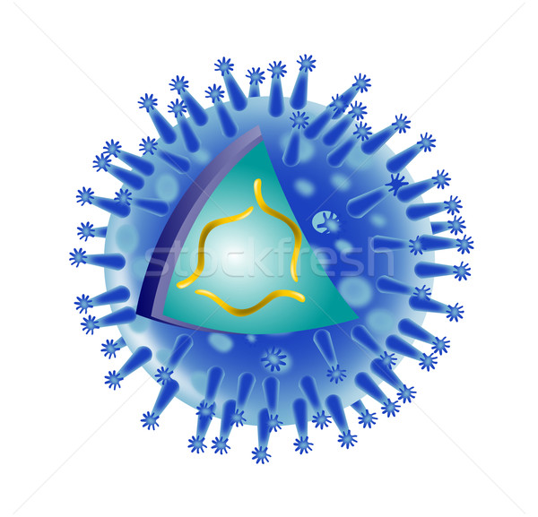 Stok fotoğraf: Grip · virüs · yapı · anatomi · örnek · yalıtılmış