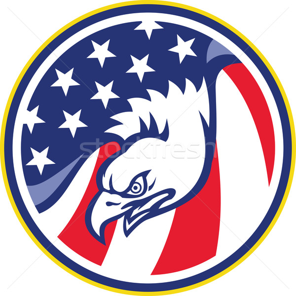 Amerikaanse adelaar vliegen USA vlag retro Stockfoto © patrimonio