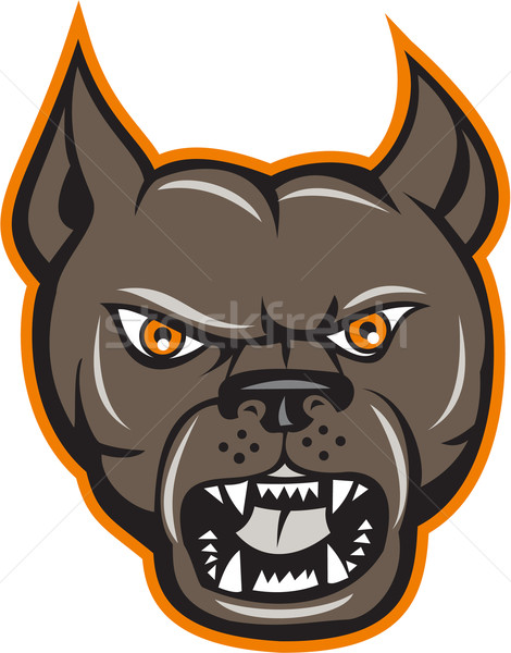 Pitbull Dog Mongrel Head Angry Cartoon Stock photo © patrimonio