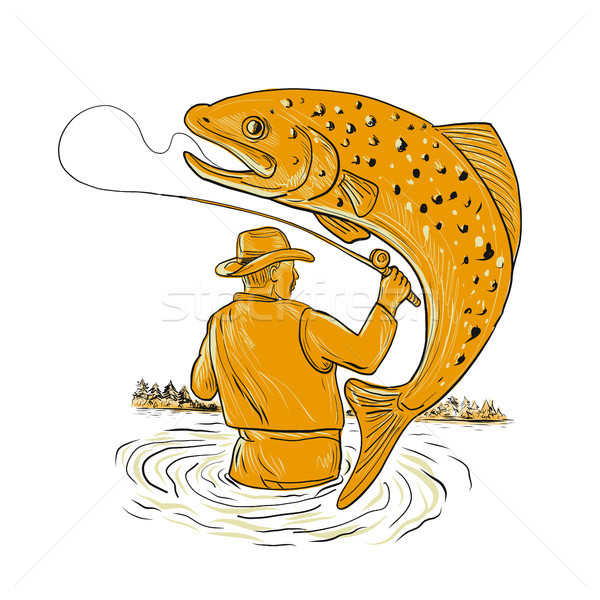 飛 漁 鱒魚 畫 素描 風格 商業照片 © patrimonio