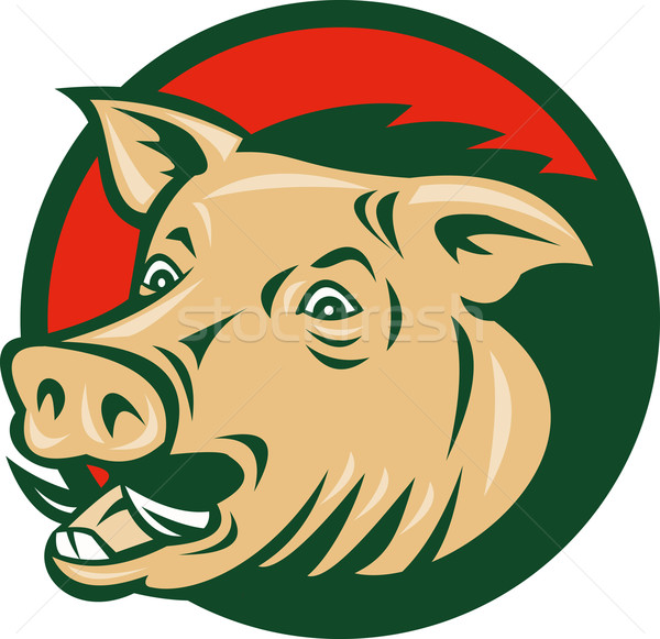 Stock photo: wild boar or razorback