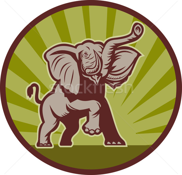Elefant african ilustrare set cerc wildlife Imagine de stoc © patrimonio