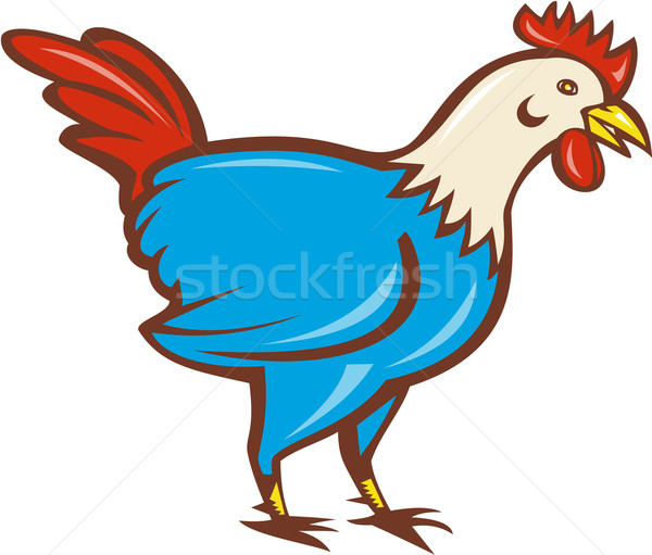 Frango galo lado desenho animado ilustração em pé Foto stock © patrimonio