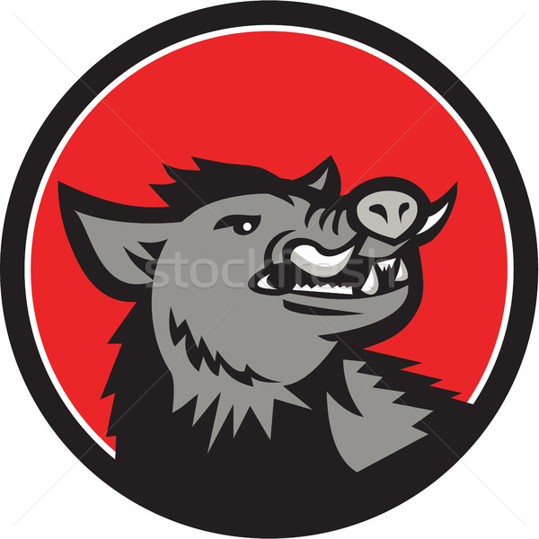 Wild Boar Head Angry Looking Up Circle Retro Stock photo © patrimonio