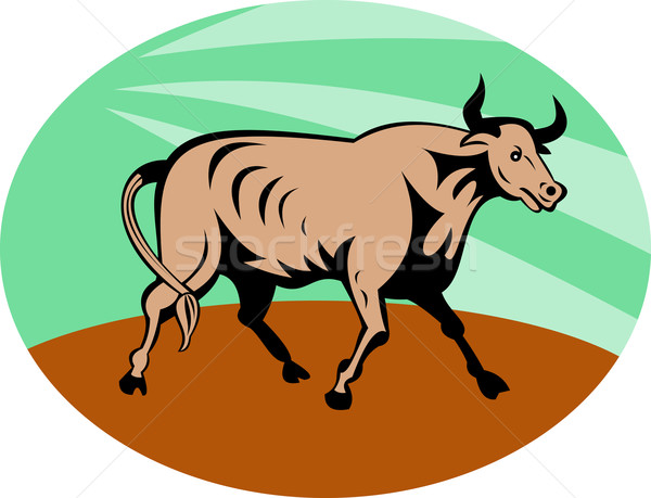 Raging texas longhorn bull charging  Stock photo © patrimonio