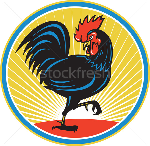 Stock photo: Rooster Cockerel Marching Side Retro
