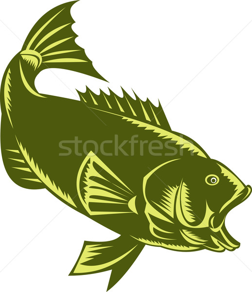 Largemouth Bass  Stock photo © patrimonio