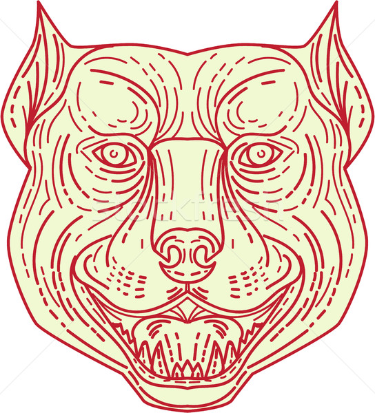 Stock photo: Pitbull Dog Mongrel Head Mono Line