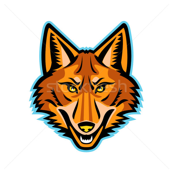Coyote Head Front Mascot Stock photo © patrimonio