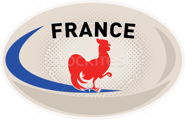 Rugby ball Francja francuski koguta ilustracja słowa Zdjęcia stock © patrimonio