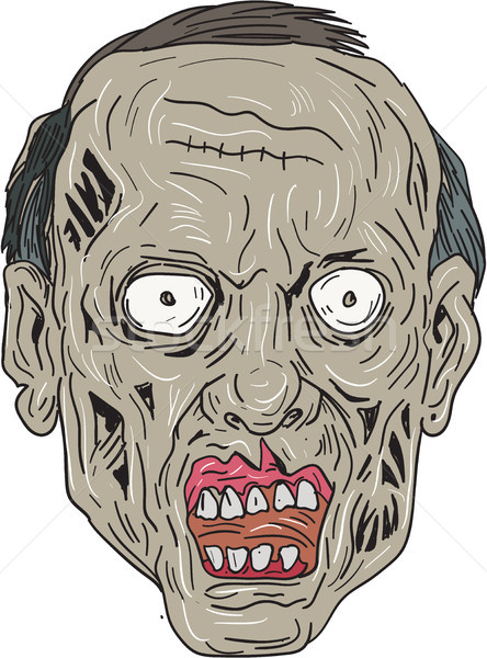 Zombie Kopf Vorderseite Zeichnung Skizze Stil Stock foto © patrimonio