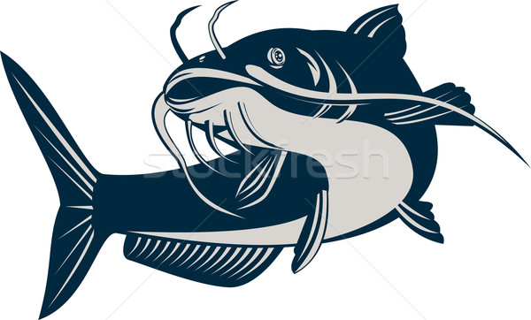 Catfish Jumping Stock photo © patrimonio