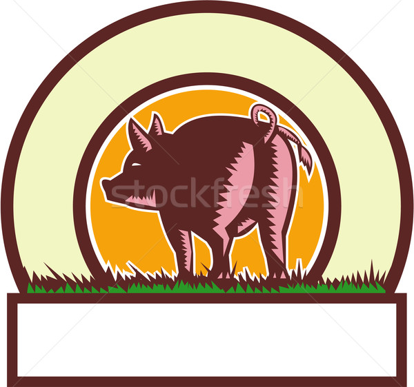 Pig Tail Rear Circle Woodcut Stock photo © patrimonio